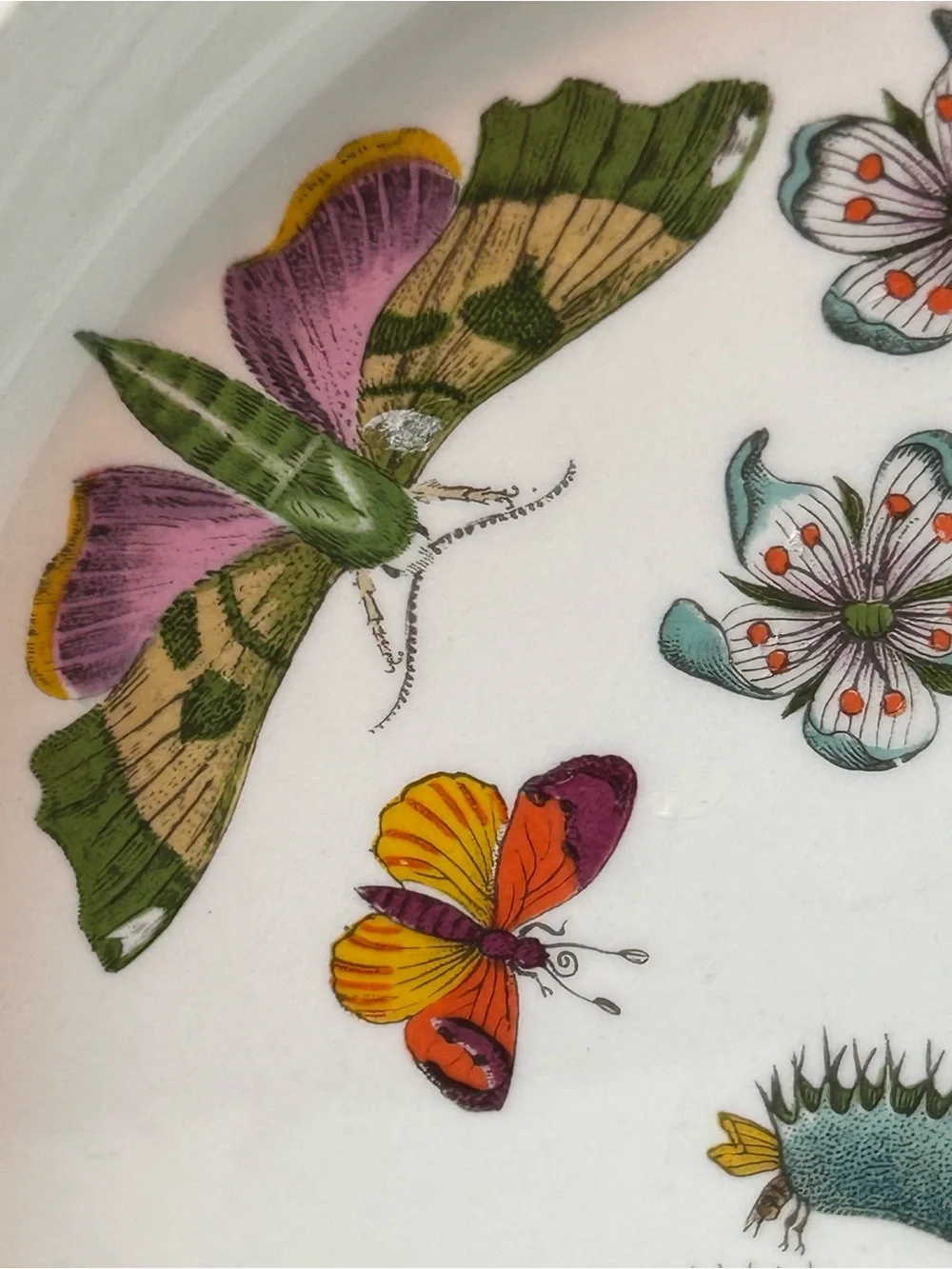 PORTMEIRION BOTANIC GARDEN 10.5” Dinner Plate Venus’s Fly Trap Butterflies 1972